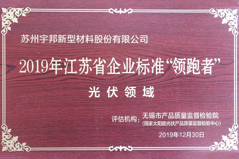 2019年江蘇省企業(yè)標準領跑者（光伏領域）